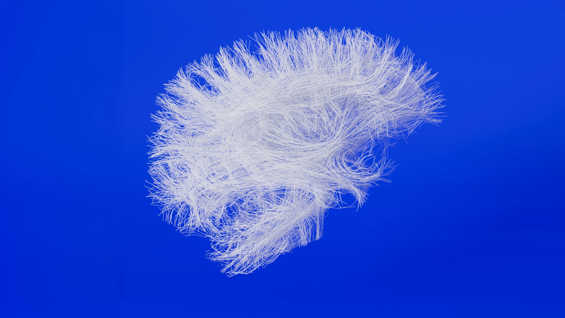 Brain-location-renders_0000_0005_rux-article-brain-renders_015789