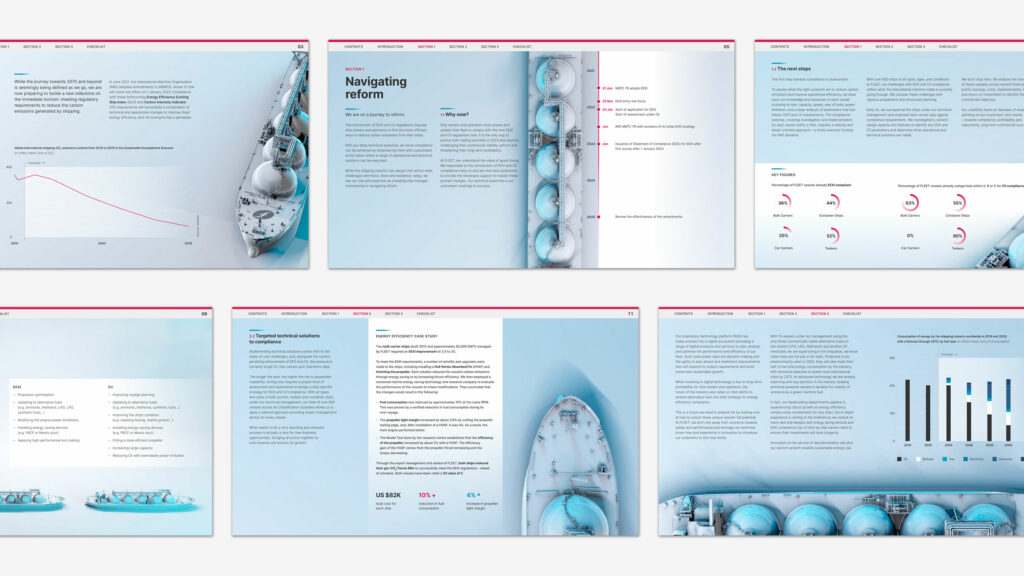 A selection of example pages from the FLEET thought leadership report.